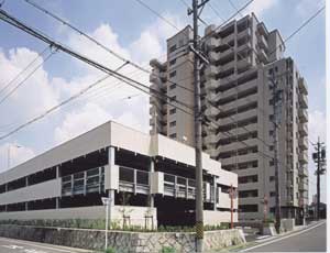 photo1