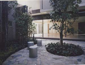 photo2
