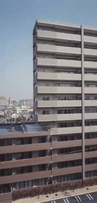 photo3